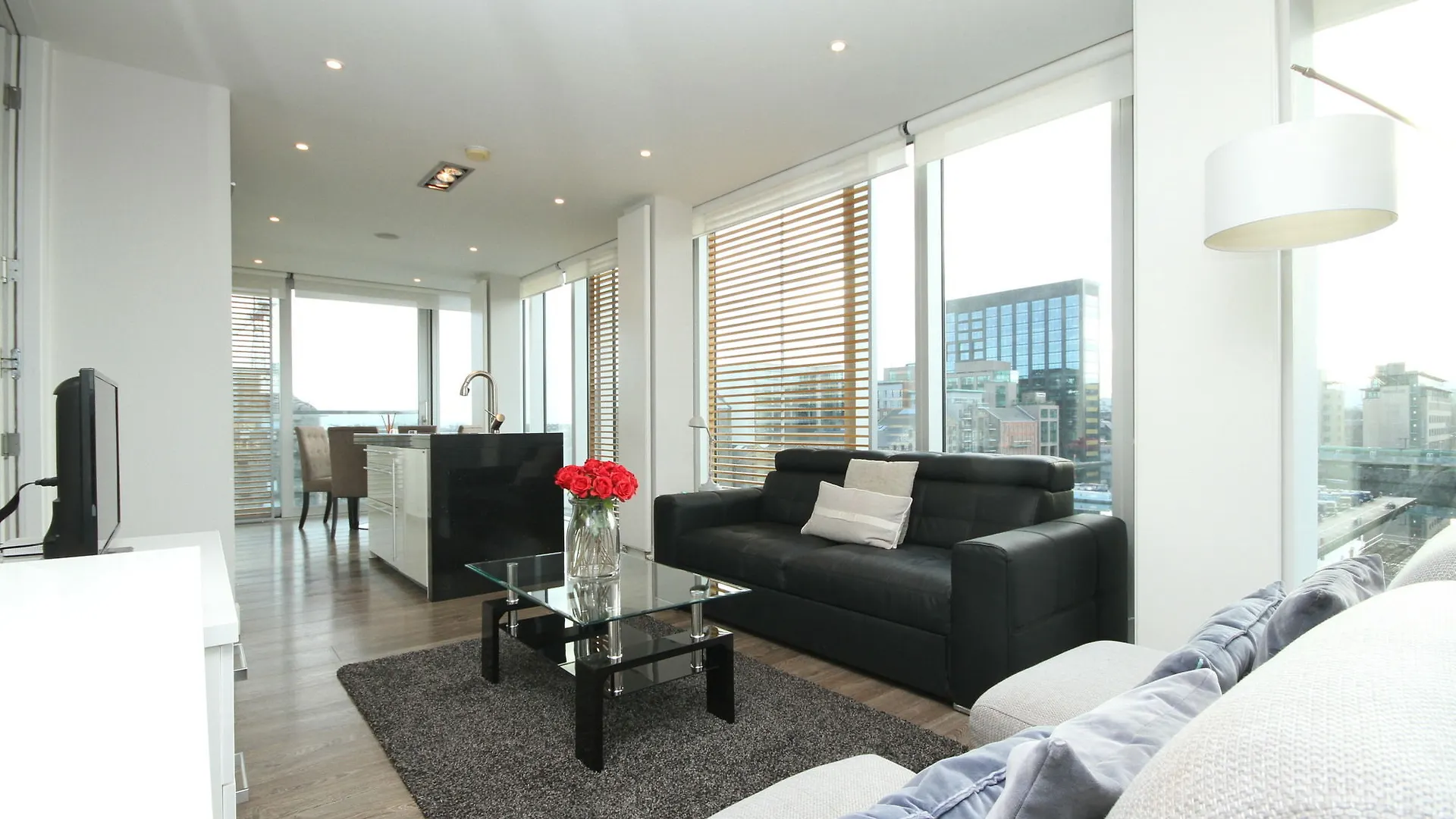 Pearse Street Residence Dublino Irlanda